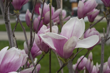 Similar image 22595078