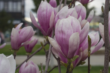 Similar image 22595088