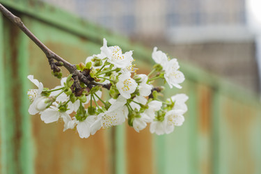 Similar image 22595089