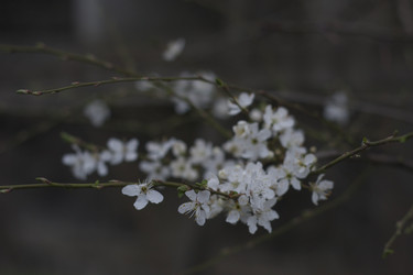 Similar image 22595090