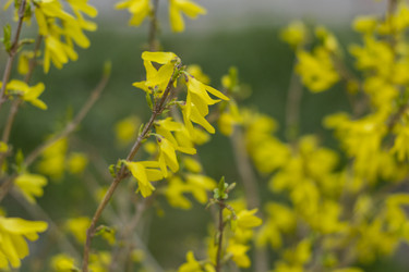 Similar image 22595092