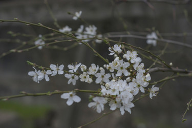 Similar image 22595093