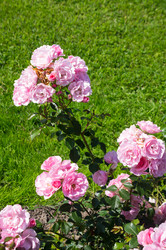 Similar image 22595723