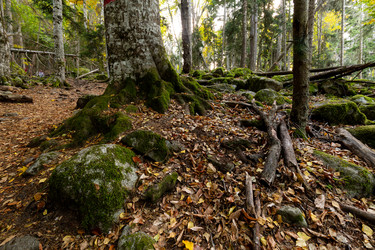 Similar image 22595734