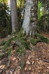 Similar image 22595736