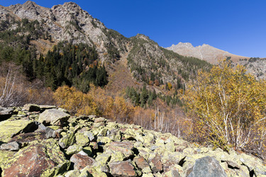 Similar image 22595737