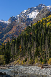 Similar image 22595738