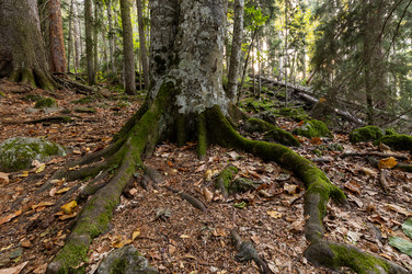 Similar image 22595739