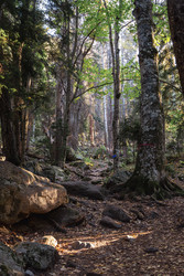 Similar image 22595741