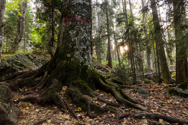 Similar image 22595744