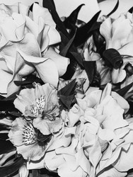 Similar image 22596886