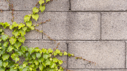 Similar image 22594928