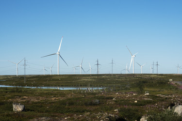 Similar image 22595515