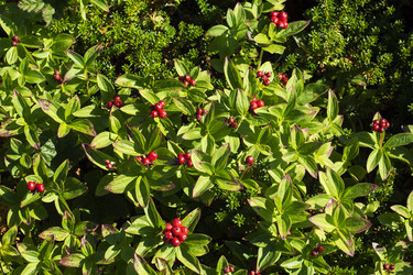 Similar image 22595517