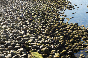 Similar image 22595523