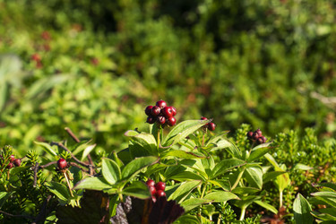 Similar image 22595529