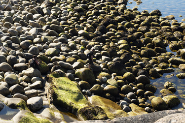 Similar image 22595530