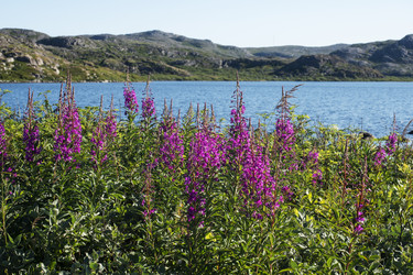 Similar image 22595539