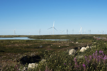 Similar image 22595542