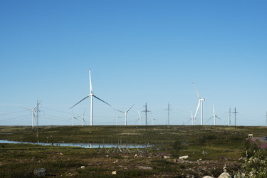 Similar image 22595548