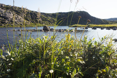 Similar image 22595552