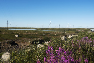 Similar image 22595553