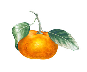 Similar image 22596942