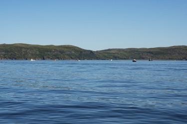 Similar image 22595555