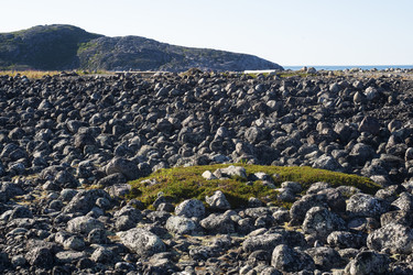 Similar image 22595595