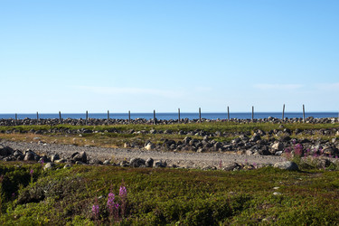 Similar image 22595611