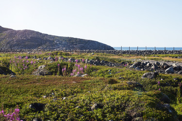 Similar image 22595615