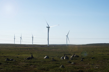 Similar image 22595623