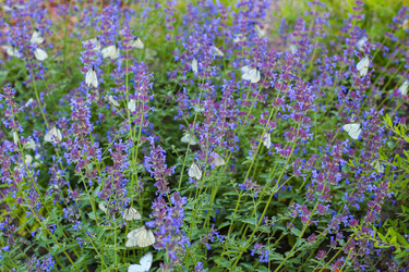 Similar image 22596888