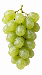 Similar image 22600290