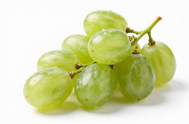 Similar image 22600292