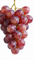 Similar image 22600304