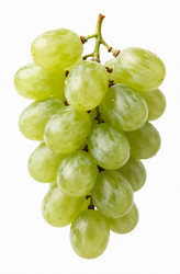 Similar image 22610954