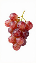 Similar image 22611116