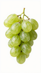 Similar image 22611131