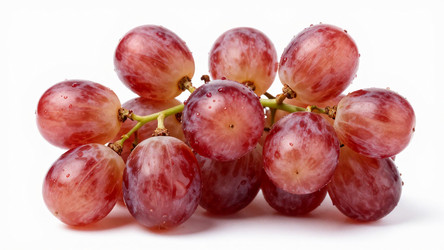 Similar image 22611133