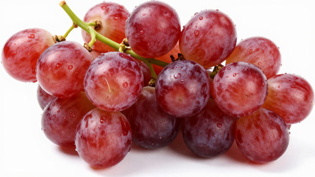 Similar image 22611235