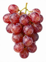 Similar image 22611281