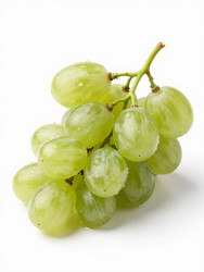 Similar image 22611355