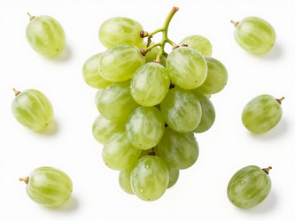 Similar image 22611398