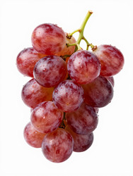 Similar image 22611413