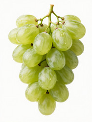 Similar image 22611430