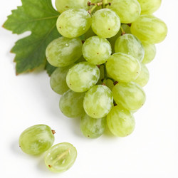 Similar image 22611504