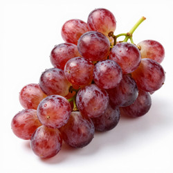 Similar image 22617775