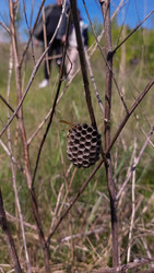 Similar image 22597522