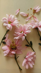 Similar image 22602255